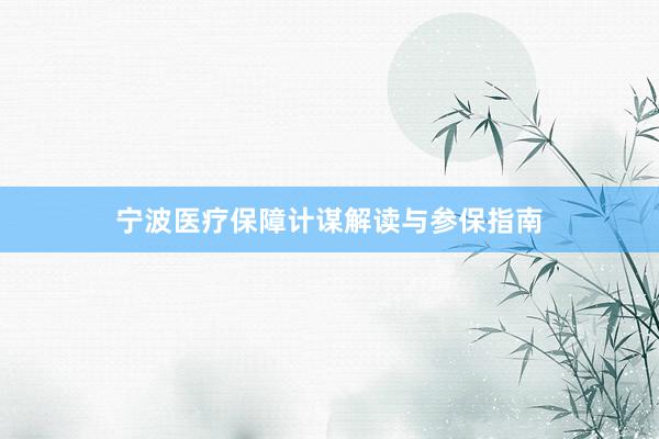宁波医疗保障计谋解读与参保指南