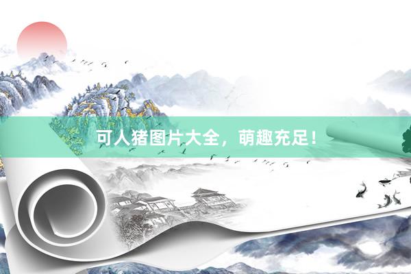 可人猪图片大全，萌趣充足！