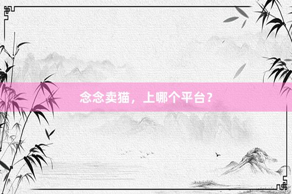 念念卖猫，上哪个平台？